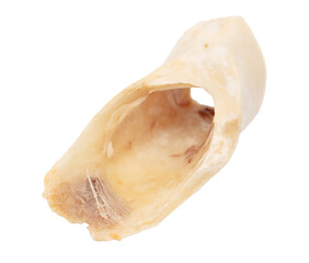 Cow bone isolated on white background.