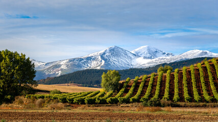 Vineyards with San Lorenzo mountain as background, La Rioja, Spain - 430741137