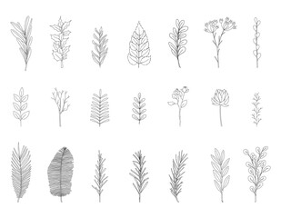 A set of hand-drawn twigs with leaves. Doodle style. Botanical, plant elements.Black and white vector illustrations in cartoon style. Isolated on a white background