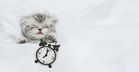 Cute kitten sleeps with alarm clock under white blanket on a bed at home. Top down view. Empty...
