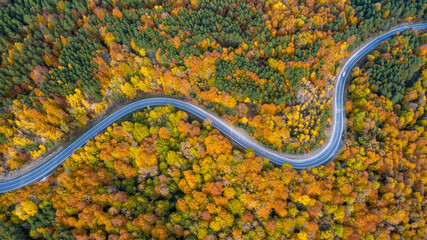 The road through the forest was shotfrom the air with a Drone. 