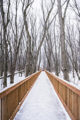 The footbridge of the Parc Écomaritime de l'Anse-du-Port, a small park near the St Lawrence river in Nicolet, Quebec (Canada)
