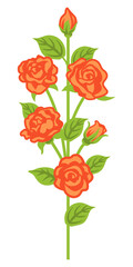 Apricot color rose decoration - straight line