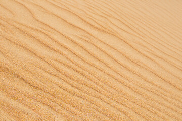 Background of the sand texture