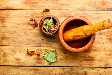 Nasturtium in herbal medicine,homeopathic herbs