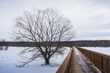 The footbridge of the Parc Écomaritime de l'Anse-du-Port, a small park near the St Lawrence river in Nicolet, Quebec (Canada)