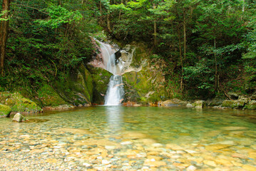 waterfall in the forest