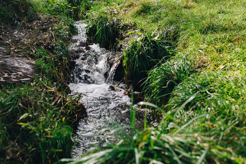 Natural wild water stream waterfall at forest with green grass coming down close up, environmental background