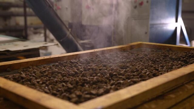 Factory. Production of dog food
