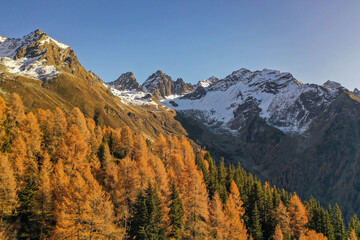 mountain panorama in autumn in the alps with many peaks glaciers snow and trees