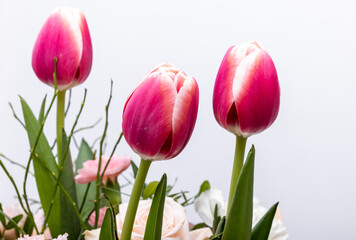 floristic bouquet of roses, carnations and tulips flowers