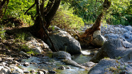 Fototapeta premium Bucatoggio river in Corsica mountain