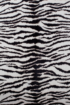 zebra skin texture