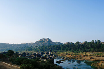 Forest and river on the background of mountains