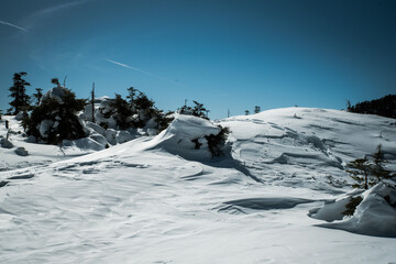 北八ヶ岳の雪景色