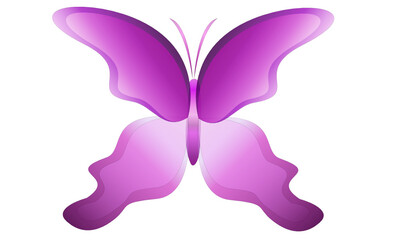 Purple butterfly on white background
