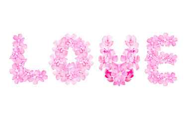 pink flower font alphabet l, o, v, e