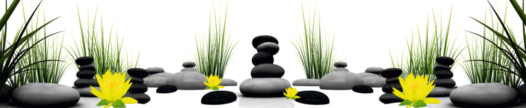 spa walness grass trawa kamienie ż&oacute;łta lilia