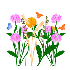 Grass meadow vector stock illustration. A field with medicinal plants. Clover, chamomile, marigold, daisy, butterflies. spring lawn. Isolated on a white background.