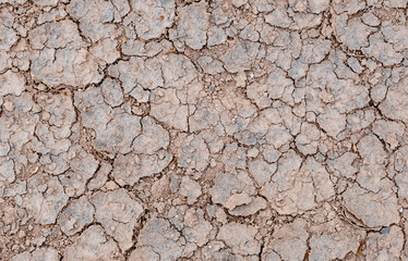 Brown dry soil background At a top view. selective focus