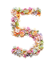 Flowers number 5 five made of colorful flowers isolated on white. Floral numbers