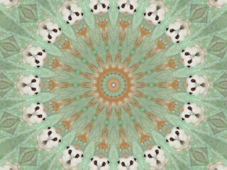 Kaleidoscope in Soft Mint Green and White