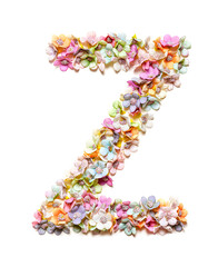 The letter Z. Floral alphabet. Set of flower letters isolated on white. Flower font.