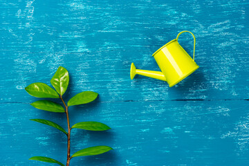 A garden watering can waters a tree sprout. Growing plants. Cultivation.