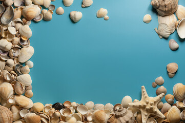 A frame with seashells and starfish on the light blue background