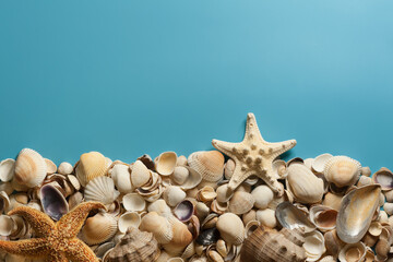 A composition with seashells and starfish on the light blue background