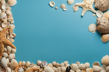A frame with seashells and starfish on the light blue background