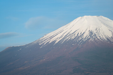 春の富士山