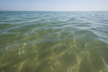 Sea water surface texture background