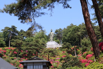 Fototapeta premium タイトル ツツジの咲く寺、塩船観音寺。つつじの中に立つ塩入平和観音。 東京・青梅にある志保船観音寺は、4月から5月にかけ、手入れされた庭園にたくさんのツツジが咲き、素晴らしい景観となる。