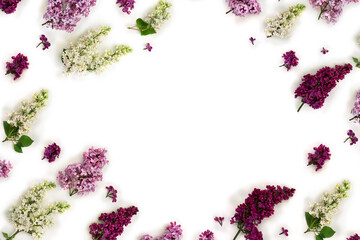 Flowers lilac different colors on a white background with space for text. Top view, flat lay. Spring flowers
