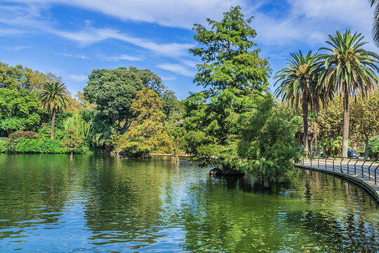 Small lake in Park de la Ciutadella - popular spot where you can hire a rowing boat. Park de la Ciutadella - thirty-hectare large park close to always crowded historic center of Barcelona. Spain.