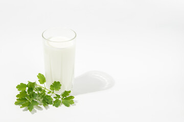Obraz na płótnie Canvas a glass of milk on a white background. Milk Day