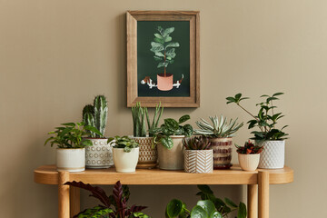 Stylish composition of home garden interior with mock up poster frame, filled a lot of beautiful plants, cacti, succulents, air plant in different design pots. Home gardening concept. Template.