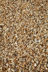 Gravier beige et blanc	
