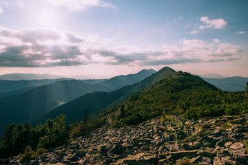 Summer Mountains Landscape 