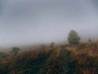 Fototapeta na wymiar Thick Fog at Autumn Mountain Trail