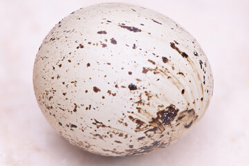 Quail eggs on a marble table