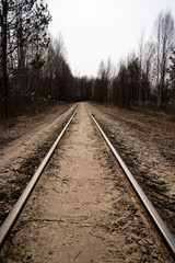 Fototapeta premium narrow-gauge railway in a swamp where small birches and other trees grow along the edge