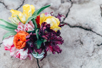 Bunch of Parrot Style Tulips