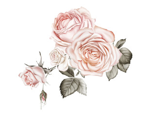 Rose bouquet greeting card on white background