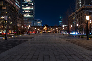Fototapeta na wymiar 【東京駅】丸の内北口の夜景