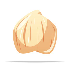 Candlenut spice vector isolated illustration