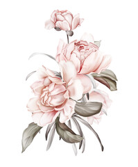 Naklejki  Ilustracja z bukietem delikatnych piwonii na białym tle. Wiosenne kwiaty tapety