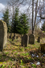 Baligród cmentarz żydowski  - obrazy, fototapety, plakaty