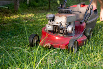 Obraz premium Mowing a lawn with a old style petrol gasoline lawnmower. Red lawn mower cutting grass . Gardening concept background